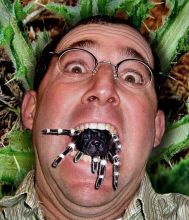 Man Eating Spider